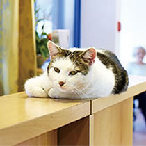 ѧϰ��������04